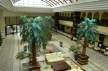 Отель Sirene Belek Golf & Wellness Hotel 5*, Белек - фото 9