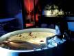 Отель Adam & Eve Hotel  5*,  - фото 8