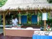 Отель Coconut Village Phuket 3*, Пхукет - фото 11
