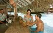Отель Grand Palladium Bavaro Resort SPA & Casino 5*, Пунта Кана - фото 14