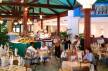 Отель Melia Peninsula Varadero 5*, Варадеро - фото 10