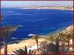 Отель Reef Oasis Blue Bay Resort & Spa 5*, Шарм Эль Шейх - фото 7