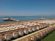 Отель Delphin Imperial Lara 5*,  - фото 5