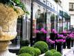 Отель Four Seasons George V 5*,  - фото 28