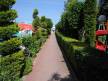 Отель Lims Bona Dea Beach Hotel 4*,  - фото 24