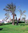 Отель Sheraton Sharm Hotel Resort, Villas & Spa 4*, Шарм Эль Шейх - фото 17