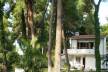 Отель Muses Villas 3*, Кассандра - фото 2