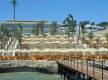 Отель Xperience Sea Breeze Resort 5*, Шарм Эль Шейх - фото 8