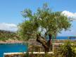 Отель Daios Cove Luxury Resort 5*,  - фото 13