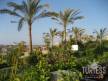 Отель Jaz Lamaya Resort 5*, Марса Алам - фото 51
