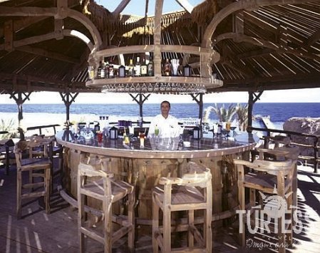 Отель Parrotel Beach Resort (ex. Radisson Blu Resort) 5*, Шарм Эль Шейх - фото 6