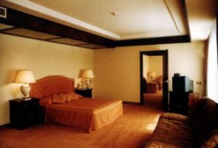 Отель Ortakoy Princess  5*, Стамбул - фото 5