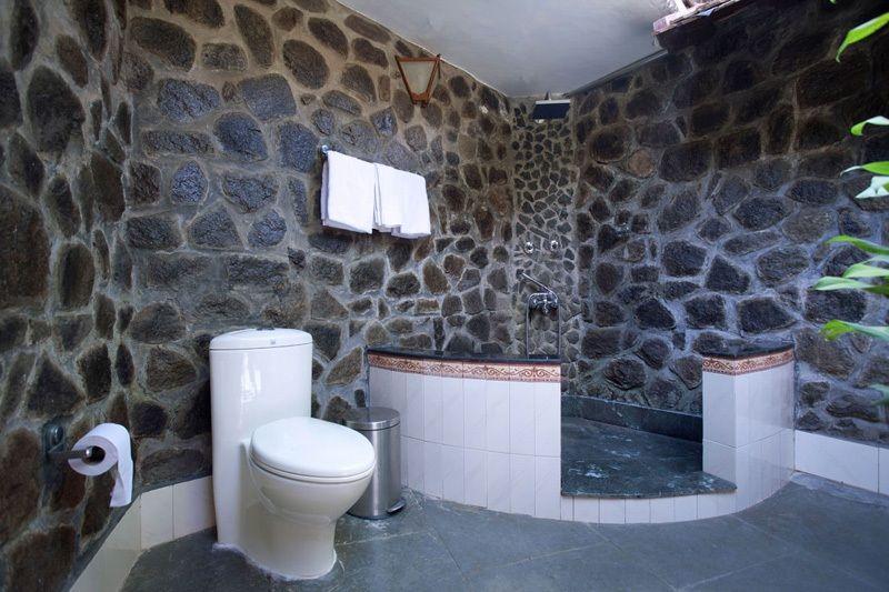 Отель Somatheeram Ayurveda Resort Kovalam 3*, Керала - фото 23