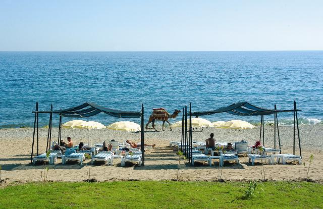 Holiday Line Beach Hotel 3* - смотреть фото 15 Отель Holiday Line Beach Hotel 3*, Аланья - фото 15