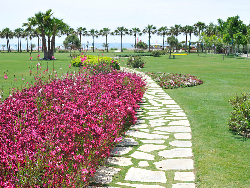 Отель Barut Lara Resort & Spa 5*,  - фото 86