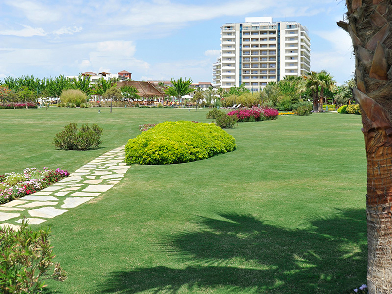 Отель Barut Lara Resort & Spa 5*,  - фото 87