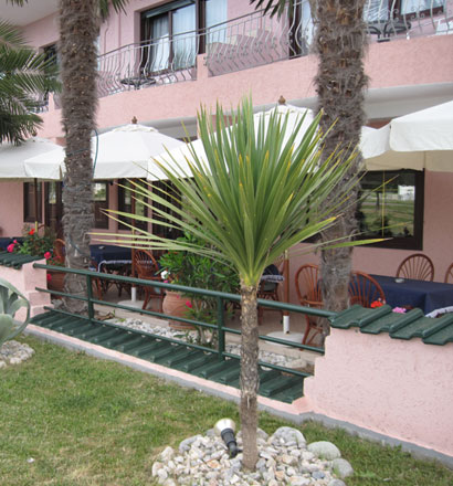Отель Tropicana Hotel 3*, Пиерия - фото 5
