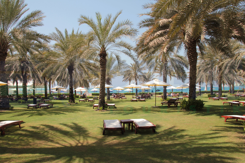Sheraton Jumeirah Beach Resort 5* - смотреть фото 7 Отель Sheraton Jumeirah Beach Resort 5*, Дубаи - фото 7