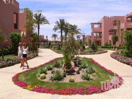 Отель Rehana Sharm Resort 4*, Шарм Эль Шейх - фото 8