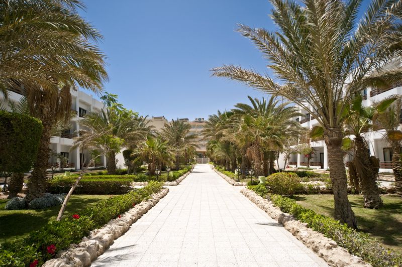 Отель Festival Shedwan Golden Beach Resort (закрыт) 3*, Хургада - фото 11