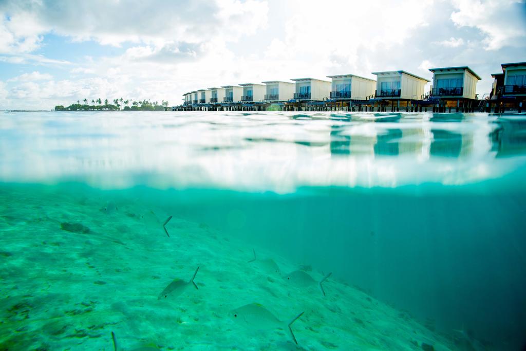 Отель Holiday Inn Resort Kandooma Maldives 5* *,  - фото 32