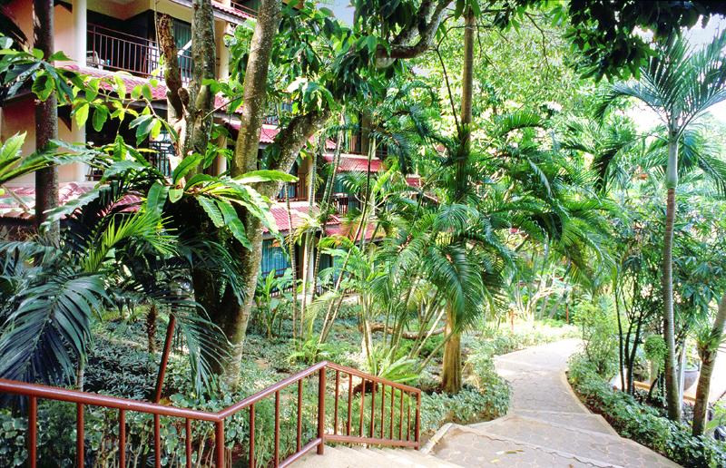 Chanalai Flora Resort (Ex.Tropical Serene Resort) 3* - смотреть фото 6 Отель Chanalai Flora Resort (Ex.Tropical Serene Resort) 3*, Пхукет - фото 6