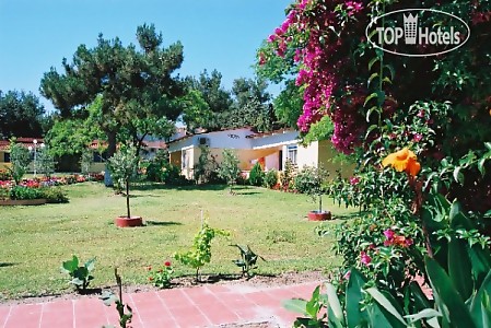 Sousouras Hotel 3* - смотреть фото 22 Отель Sousouras Hotel 3*, Кассандра - фото 22