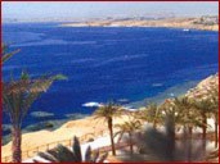 Отель Reef Oasis Blue Bay Resort & Spa 5*, Шарм Эль Шейх - фото 7