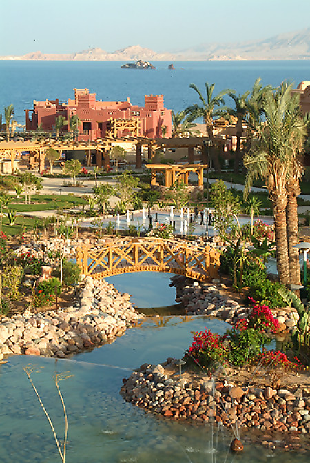 Charmillion Sea Life Resort 5* - смотреть фото 14 Отель Charmillion Sea Life Resort 5*, Шарм Эль Шейх - фото 14