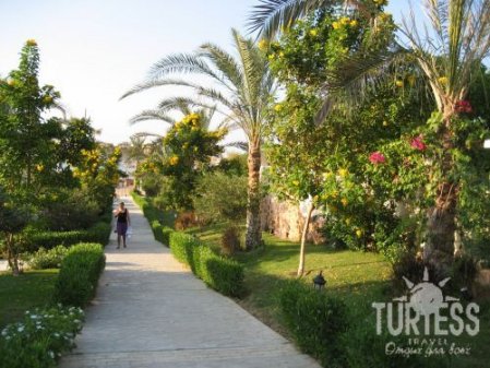 Отель Jaz Lamaya Resort 5*, Марса Алам - фото 6