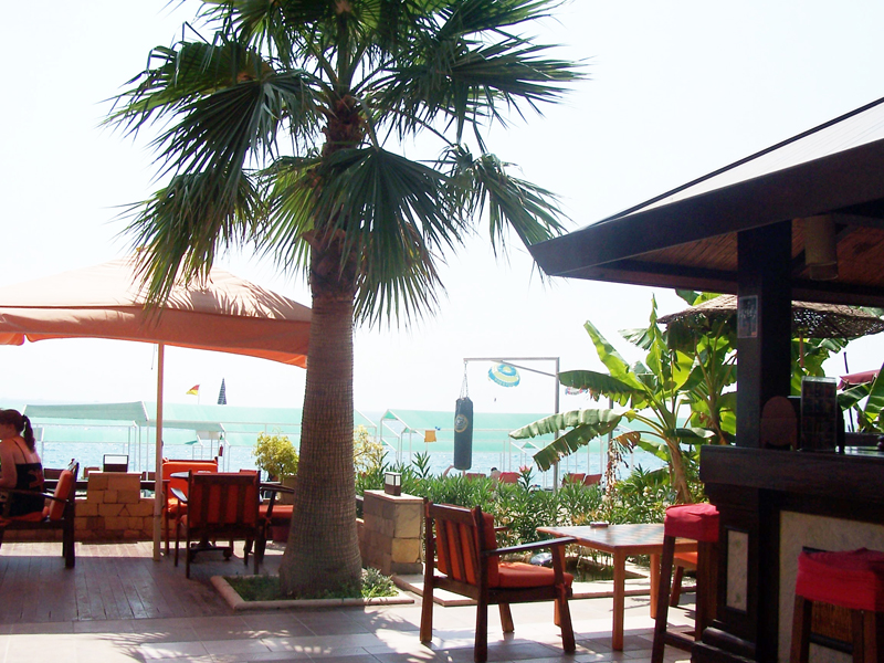 Отель Club Boran Mare Beach 0*,  - фото 55