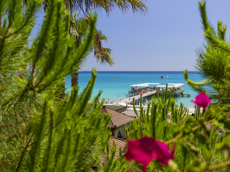 Отель Mukarnas Spa Resort 5*,  - фото 7