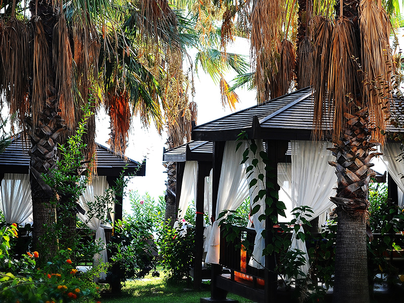 Отель Mukarnas Spa Resort 5*,  - фото 52