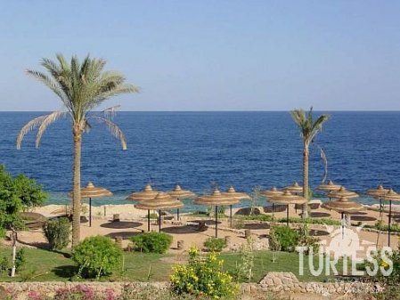 Renaissance Sharm El Seikh Golden View Beach Resort 5* - смотреть фото 12 Отель Renaissance Sharm El Seikh Golden View Beach Resort 5*, Шарм Эль Шейх - фото 12