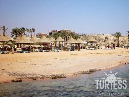 Отель Parrotel Beach Resort (ex. Radisson Blu Resort) 5*, Шарм Эль Шейх - фото 12