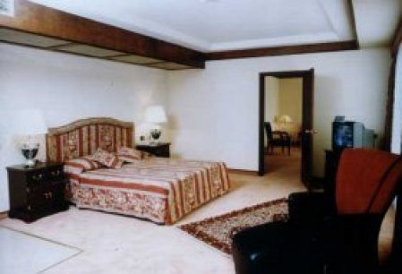 Отель Ortakoy Princess  5*, Стамбул - фото 4