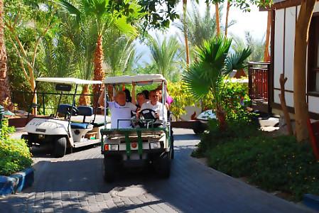 Отель The OrChid Hotel & Resort Eilat 4*, Эйлат - фото 7