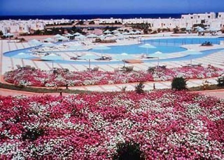 Pharaoh Azur Resort 5* - смотреть фото 25 Отель Pharaoh Azur Resort 5*, Хургада - фото 25
