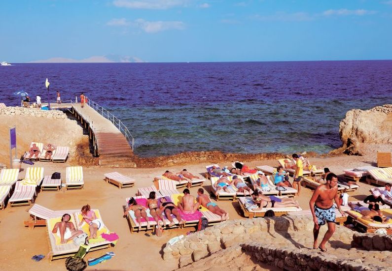 Shores Golden Resort 3* - смотреть фото 5 Отель Shores Golden Resort 3*, Шарм Эль Шейх - фото 5