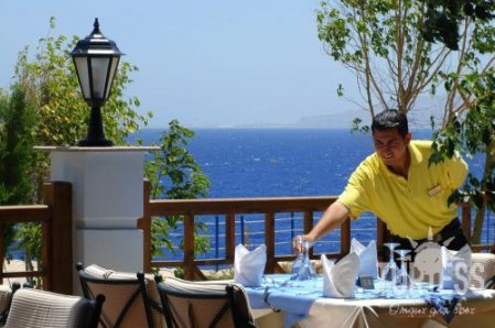 Sultan Gardens Resort 5* - смотреть фото 17 Отель Sultan Gardens Resort 5*, Шарм Эль Шейх - фото 17