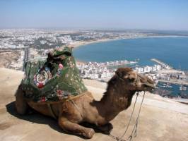 Горящие туры в отель Grand Tour Agadir (2-5 Pax & 7 Nights) 5*,  