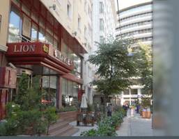 Отель Lion Hotel – подобрать тур Горящие туры в отель Lion Hotel 4*, Стамбул,