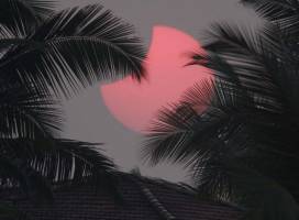 Горящие туры в отель Индия, ГОА северный, Resorte De Tio Carmino 2*   
