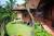 Somatheeram Ayurveda Resort Kovalam