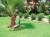 Green Peace Hotel