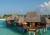 Coco Palm Bodu Hithi Coco Palm Bodu Hithi