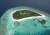 Coco Palm Dhuni Kolhu